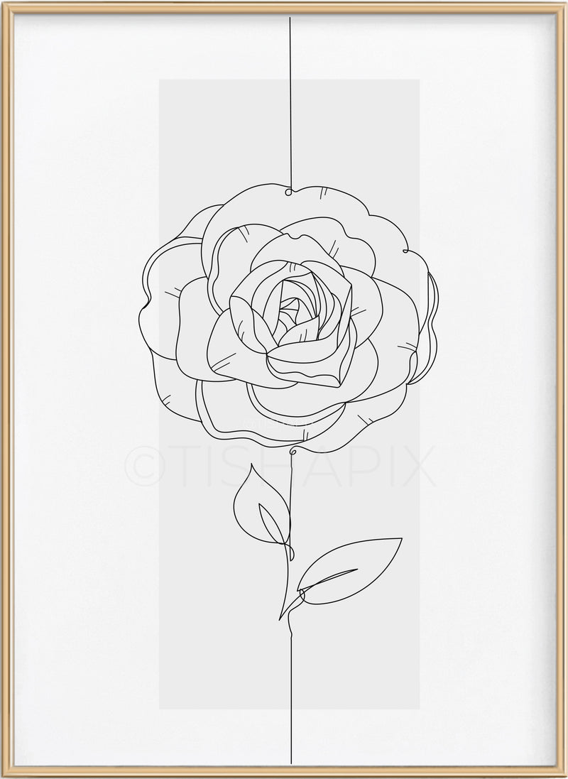 Rose Line Art