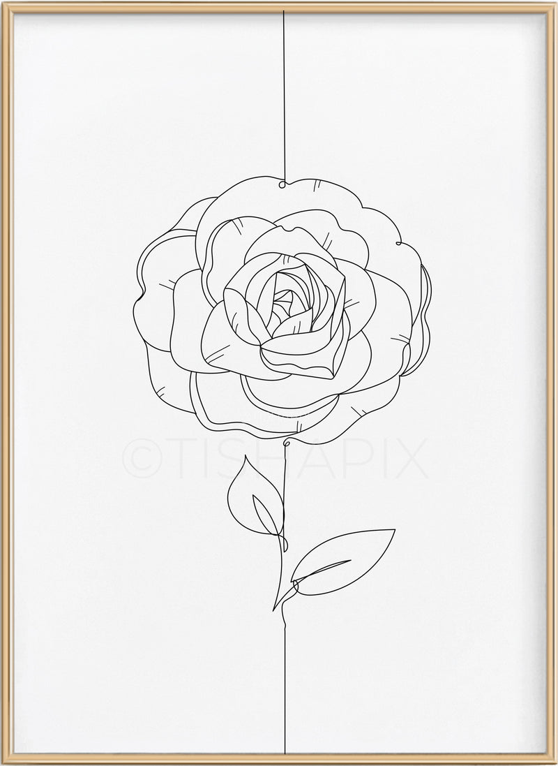 Rose Line Art