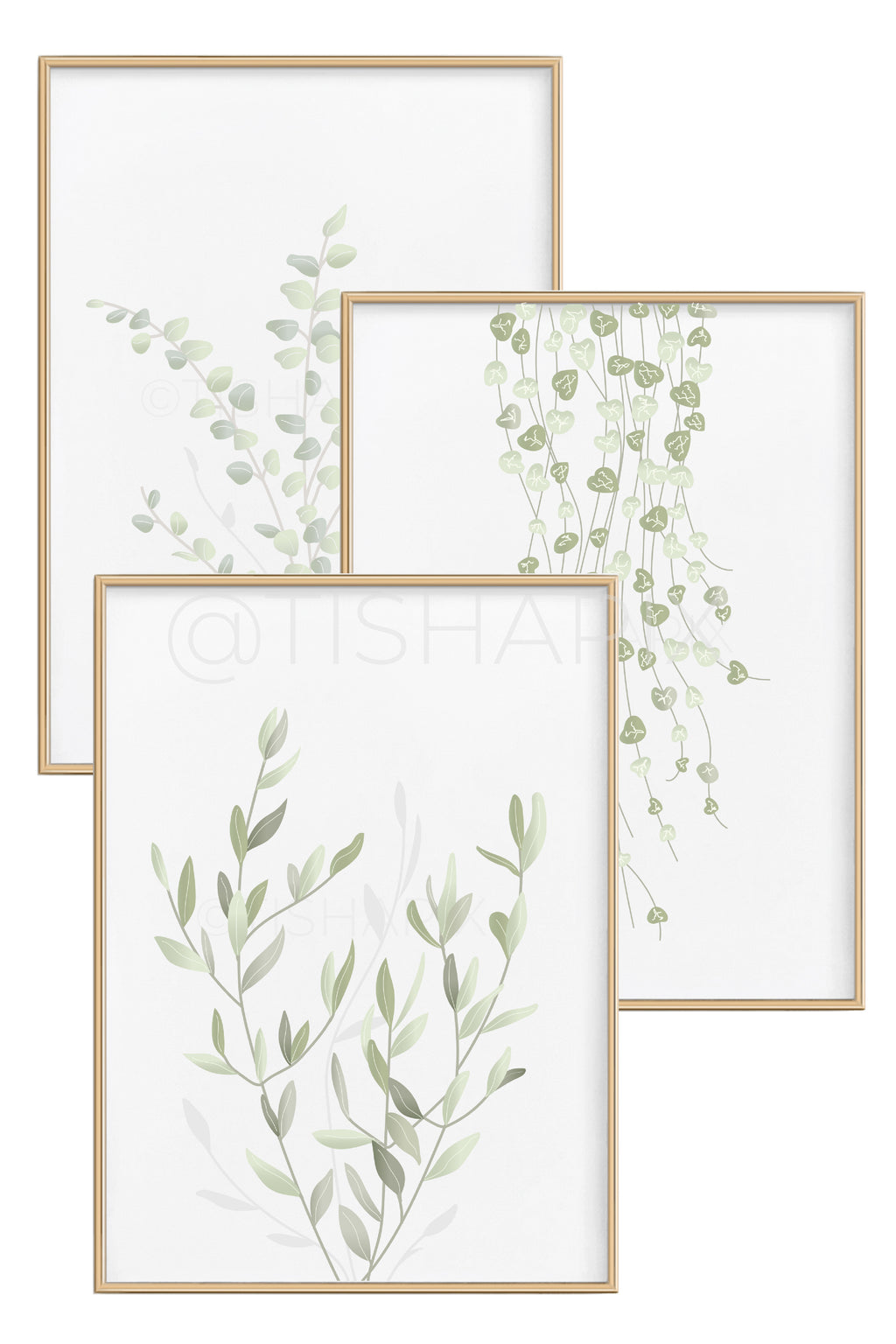 Plant Branches (Set of 3)