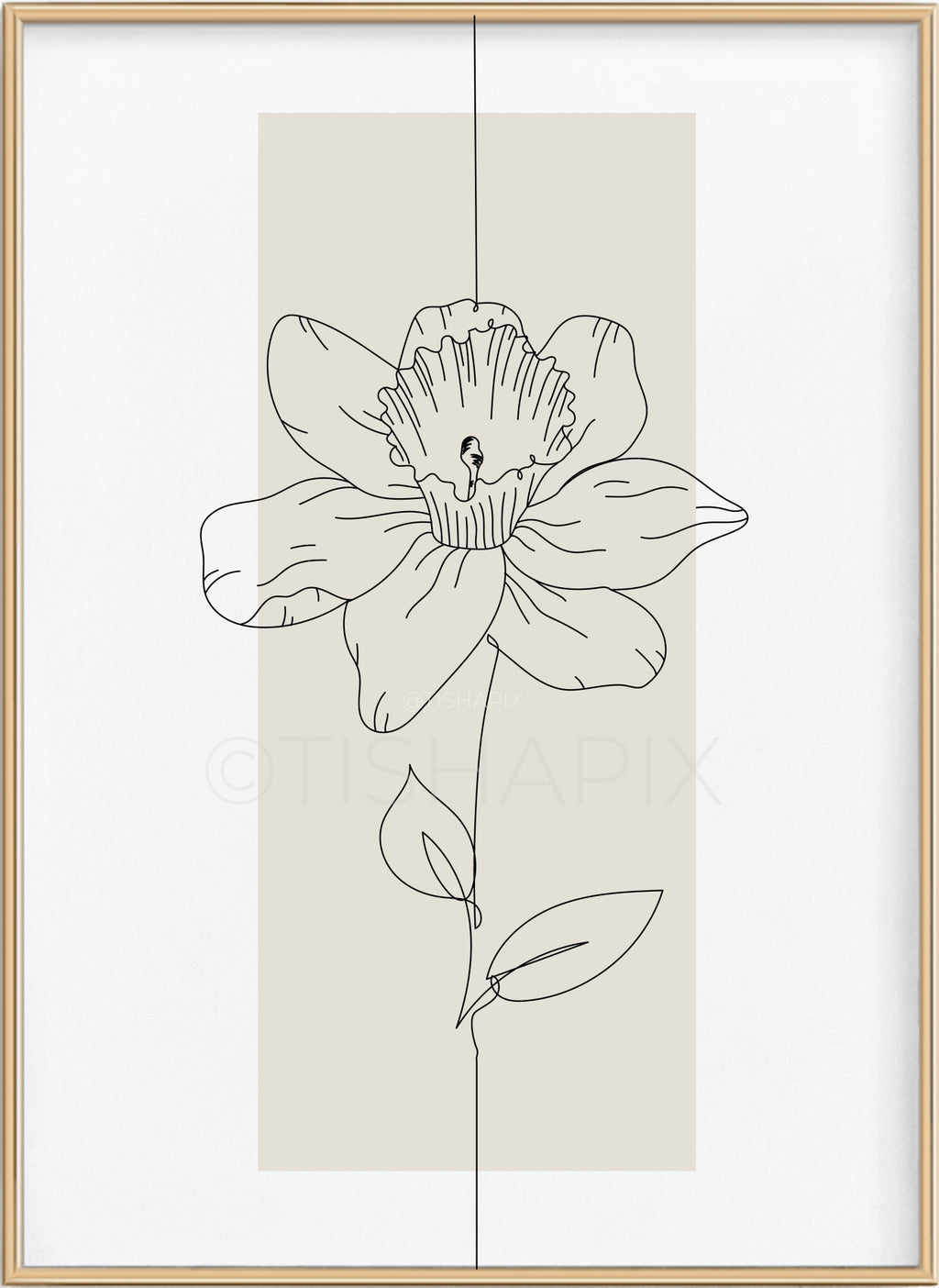 Daffodil Line Art
