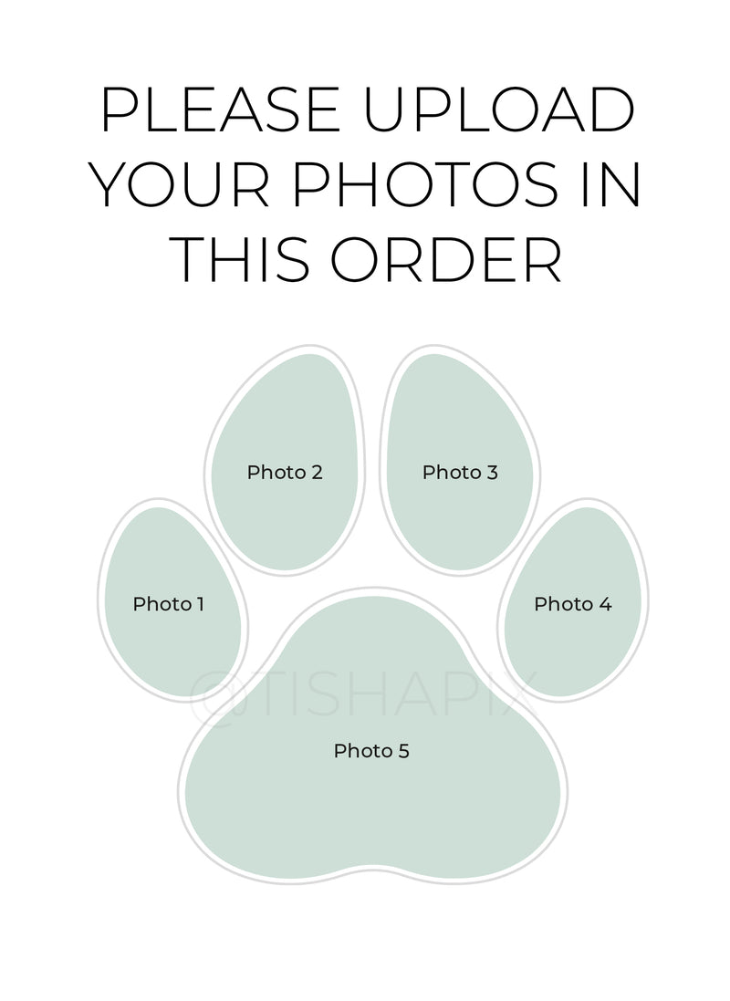 Dog Paw Personalised Photo Print