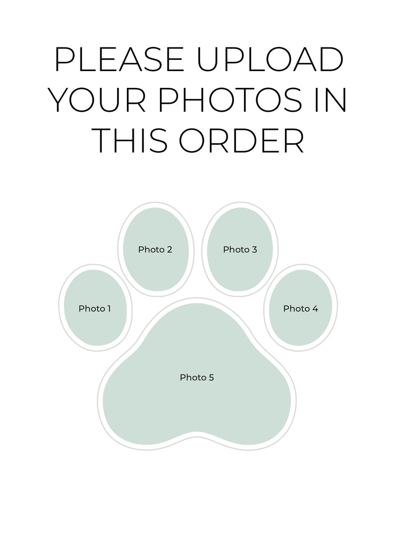 Cat Paw Personalised Photo Print